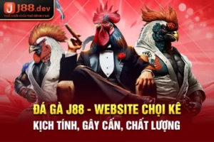 Đá Gà kingfun bet - Website Chọi Kê Kịch Tính, Gây Cấn, Chất Lượng